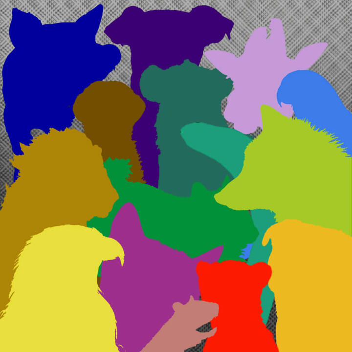 Multicolored animal silhouettes